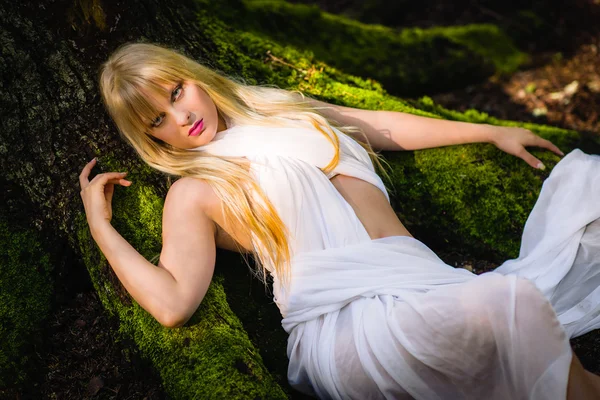 Woman and old spruce — Stock Photo, Image