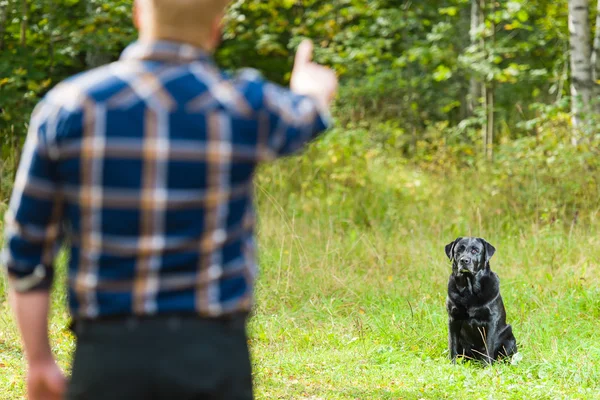 Zitten opleiding — Stockfoto