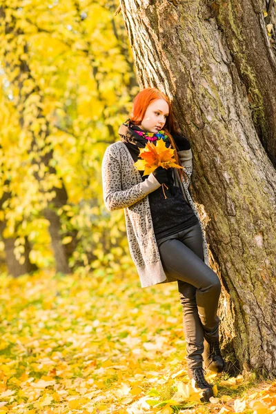 Romance in autumn — Stock Photo, Image