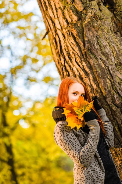 Romanticismo in autunno — Foto Stock