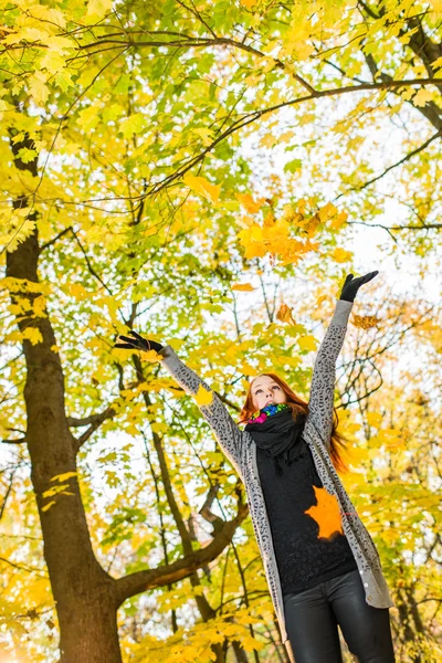 Falling leaves — Stock Photo, Image