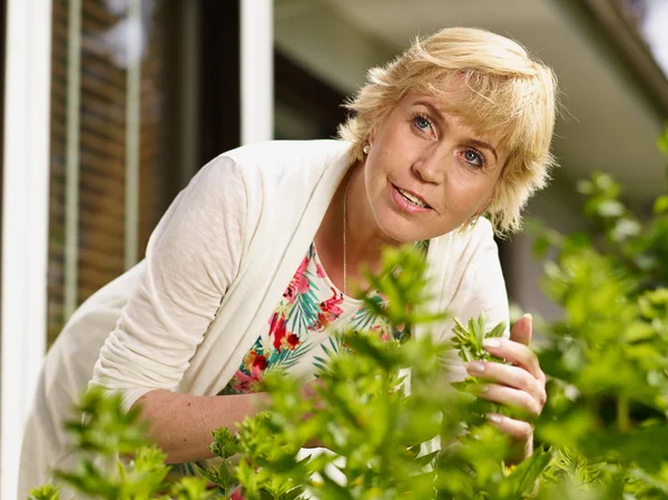 Woman and plants — Stock Photo, Image