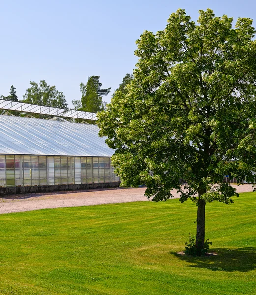 Baum und Gewächshaus — Stockfoto