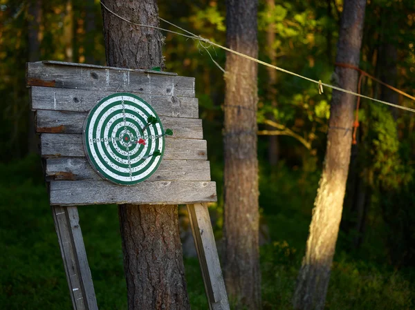 Dart and dart board — Stock Photo, Image