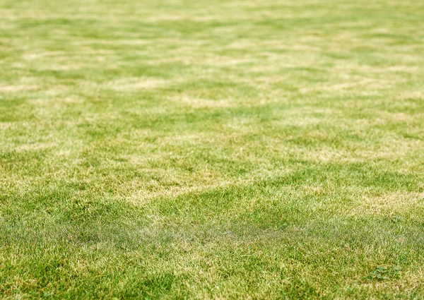 Lawn and burn marks Stock Photo