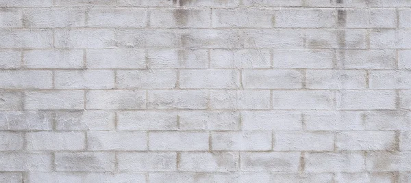 벽돌 장벽 — 스톡 사진