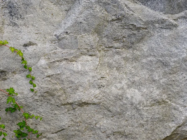 固体の大きな石 — ストック写真