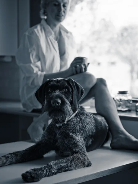 Mujer y perro — Foto de Stock