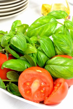 fesleğen ve domates