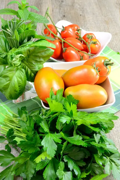 Fennel and tomatoes — Stock Photo, Image