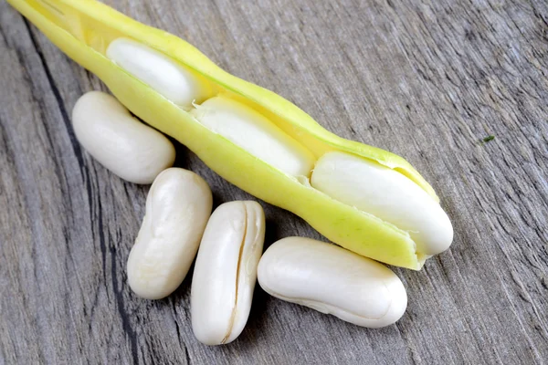 Fresh white beans — Stock Photo, Image