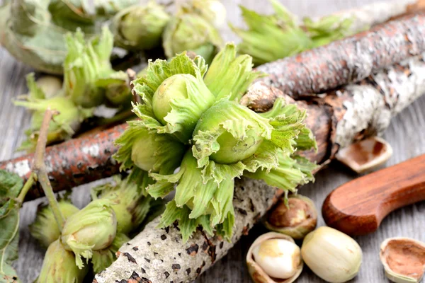 Fresh hazelnuts — Stock Photo, Image