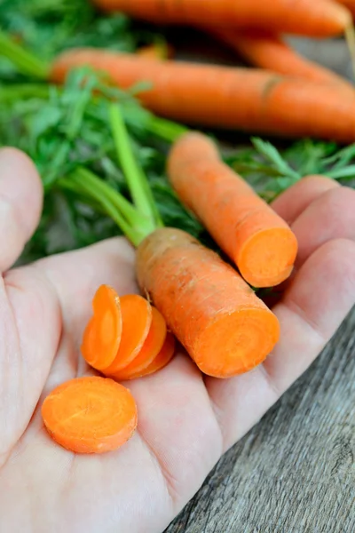 Fresh carrots — Stock Photo, Image