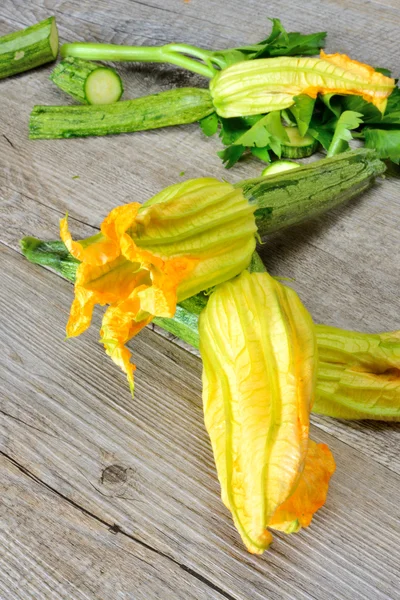 Zucchini-Blüten — Stockfoto