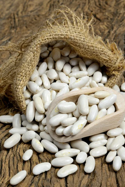 White beans — Stock Photo, Image