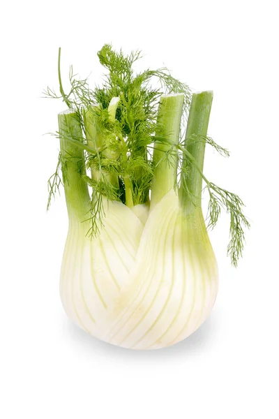 Fennel on white — Stock Photo, Image