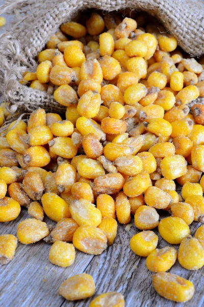 Nuts and grain cashews — Stock Photo, Image