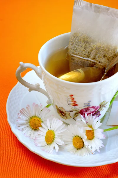 Chamomile — Stock Photo, Image