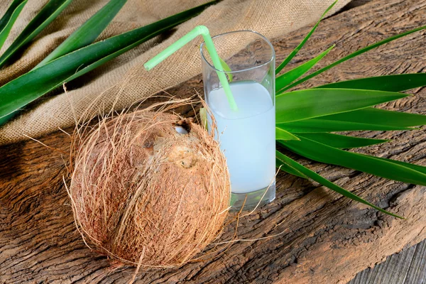 코코넛과 우유 — 스톡 사진