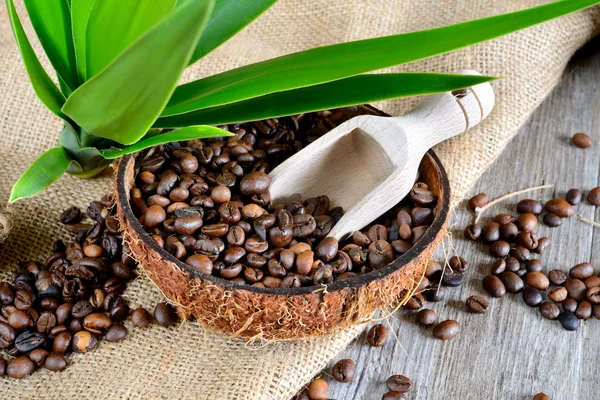 Coffe beans in coconut — Stock Photo, Image