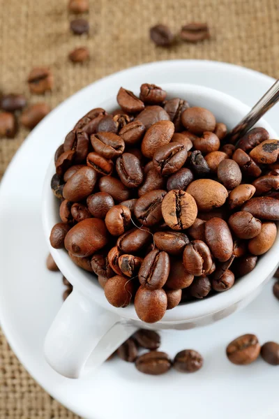 Coffe beans — Stock Photo, Image