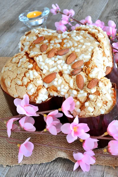 Colomba easter cake — Stock Photo, Image