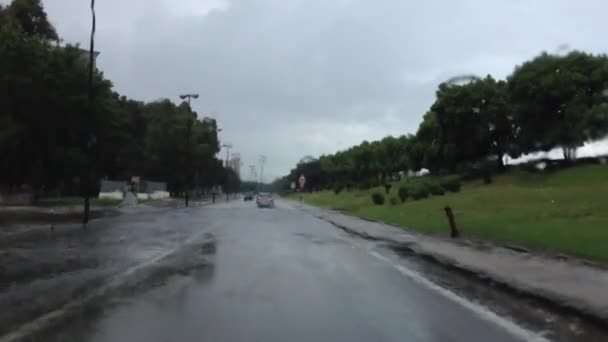 Deszcz — Wideo stockowe
