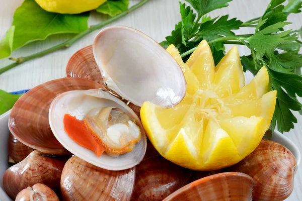 Fruits de mer crus appelés fasolari — Photo