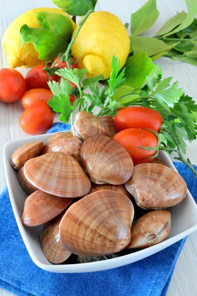 Raw sea fruits called fasolari — Stock Photo, Image