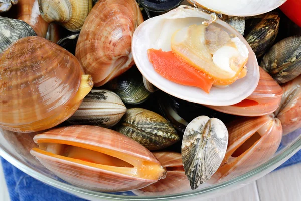 Mariscos crudos llamados fasolari con mejillones y almejas — Foto de Stock