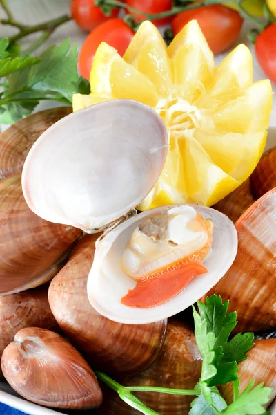Syrové mořské plody zvané fasolari — Stock fotografie