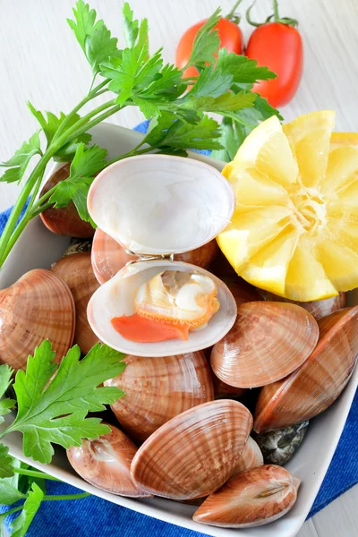 Raw seafood called fasolari with mussels and clams — Stock Photo, Image