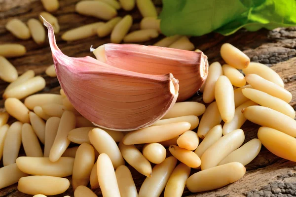 Pine nuts and garlic — Stock Photo, Image