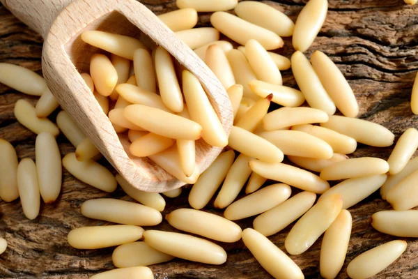 Pine nuts — Stock Photo, Image