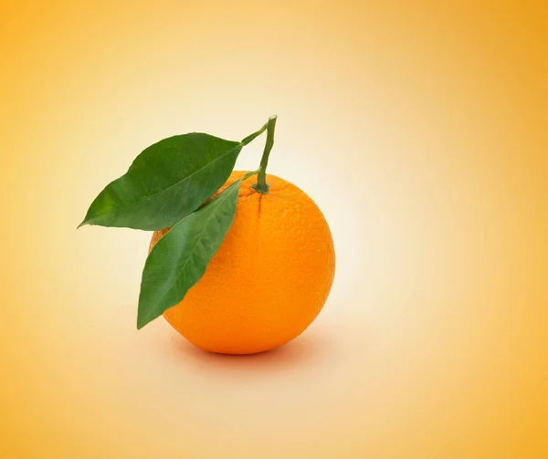 sliced navel orange on colored gradient