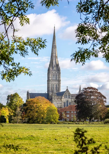 Salisbury Katedrali Nin Ekim 2021 Salisbury Wiltshire Ngiltere Deki Sonbahar — Stok fotoğraf