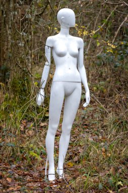 16 Aralık 2021 'de İngiltere, Somerset' teki Marston Park 'ta ağaçlık alanda çıplak kadın mankeni.