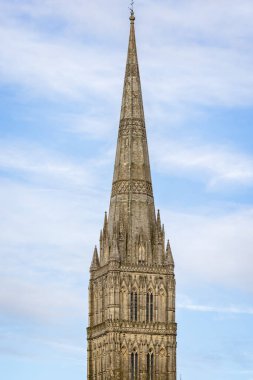 4 Ocak 2022 'de İngiltere, Wiltshire' da Salisbury Katedrali 'nin yakınında.