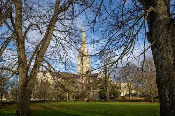 Salisbury Katedrali Ocak 2022 Salisbury Wiltshire Ngiltere Çekilen Ağaçların Arasından — Stok fotoğraf
