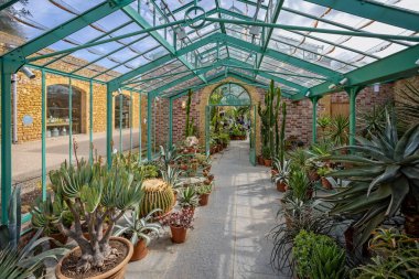 2 Nisan 2022 'de The Newt, Somerset, İngiltere' de kaktüs ve egzotik bitkilerle birlikte The Greenhouse 'un içindeki kafe.