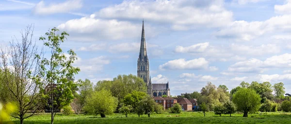 Salisbury Katedrális Panorámája Salisbury Wiltshire Egyesült Királyság Vízmezőkről 2022 Május — Stock Fotó