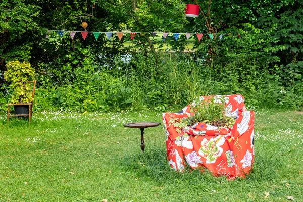 Flowers Grasses Growing Bright Red Sofa Park Stratford Avon Warwickshire — Stock Photo, Image