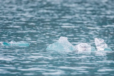 Close up of sparkling blue translucent icebergs in water of Kvanefjord in arctic Greenland