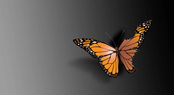 Ikonikus Uralkodó Pillangó Grafikai Kialakítása Szárnyas Heggel Harapásnyomokkal Sötét Elvont — Stock Fotó
