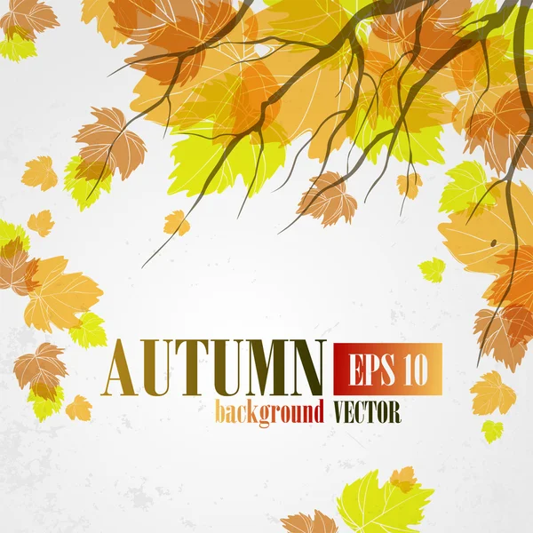 Herfst achtergrond. — Stockvector