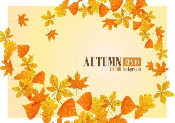 Sfondo autunno . — Vettoriale Stock