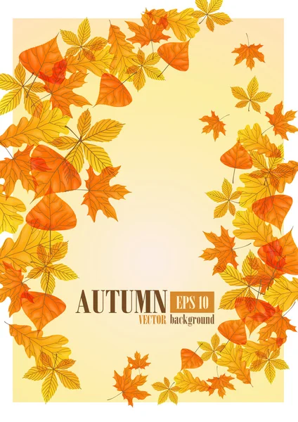 Herfst achtergrond. — Stockvector