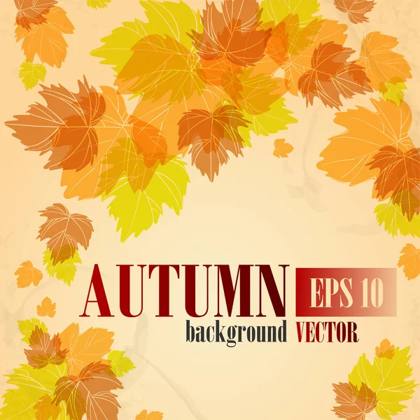 Autumn background. — Stock Vector