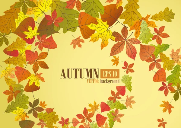 Sfondo autunno . — Vettoriale Stock