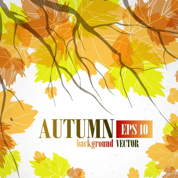 Herfst achtergrond. — Stockvector